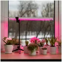 Фитолампа светодиодная для растений Т5 Ritter PLANTA, 14Вт, 880х23х34мм, провод 2м, выключатель на корпусе, цвет белый, фитосветильник для рассады линейный, светильник для комнатных цветов, 56297 9