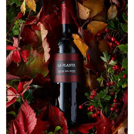 Вино Arzuaga Ribera del Duero La Planta красное сухое, 0.75л-2