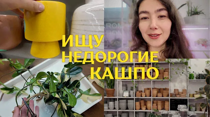 В ГОСТЯХ у RomRomPlant | УЮТНЫЕ осенние БУДНИ с РАСТЕНИЯМИ | в поисках ГОРШКОВ и КАШПО 🌱