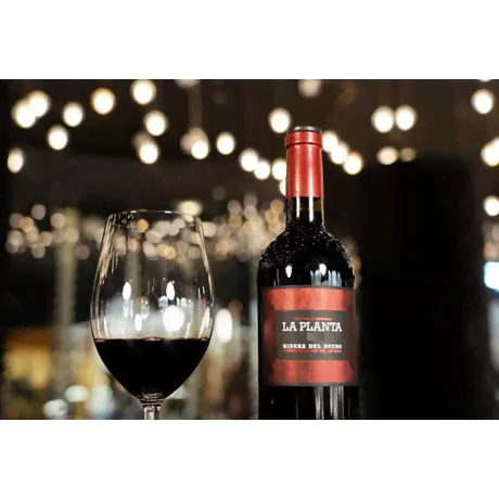 Вино Arzuaga Ribera del Duero La Planta красное сухое, 0.75л-0