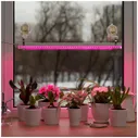 Фитолампа светодиодная для растений Т5 Ritter PLANTA, 14Вт, 880х23х34мм, провод 2м, выключатель на корпусе, цвет белый, фитосветильник для рассады линейный, светильник для комнатных цветов, 56297 9