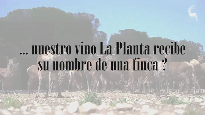 ¿Sabías que... nuestro vino La Planta recibe su nombre de una finca?